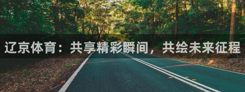 乐球免费直播nba：辽京体育：共享精彩瞬间，共绘未来征程