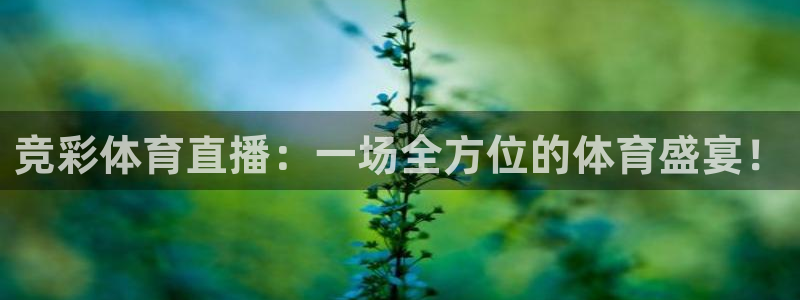 乐球直播体育免费直播在线观看：竞彩体育直播：一场全方位的体育盛宴！