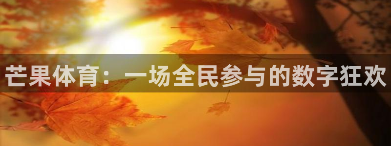 乐球直播雨燕免费高清观看：芒果体育：一场全民参与的数字狂欢