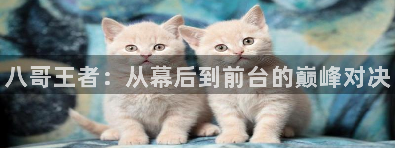 乐球直播在哪下载：八哥王者：从幕后到前台的巅峰对决