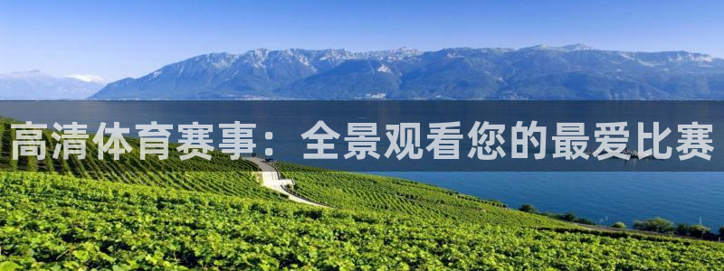 乐球直播无插件：高清体育赛事：全景观看您的最爱比赛