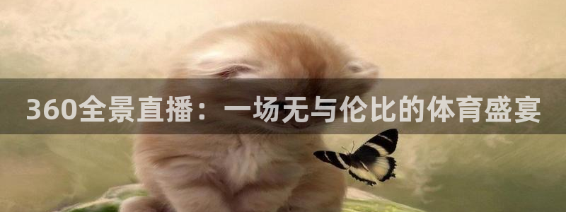 乐球体育直播在线观看：360全景直播：一场无与伦比的体育盛宴