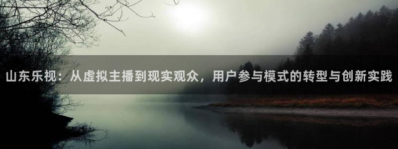 乐球直播下载：山东乐视：从虚拟主播到现实观众，用户参与模式的转型与创新实践