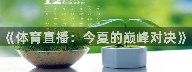 乐球直播(无插件)足球：《体育直播：今夏的巅峰对决》