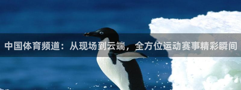 乐球足球直播无插件：中国体育频道：从现场到云端，全方位运动赛事精彩瞬间