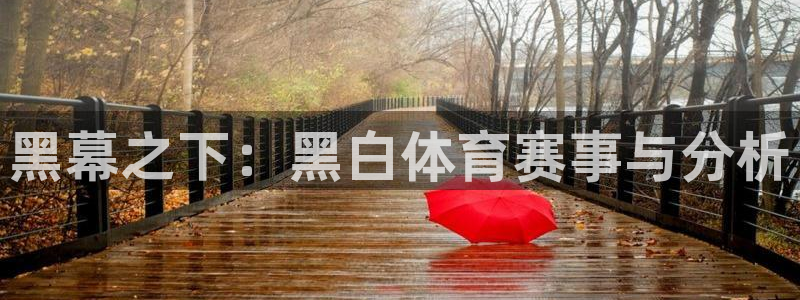 乐球直播app免费版：黑幕之下：黑白体育赛事与分析