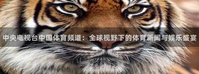 乐球直播nba在线观看免费：中央电视台中国体育频道：全球视野下的体育新闻与娱乐盛宴