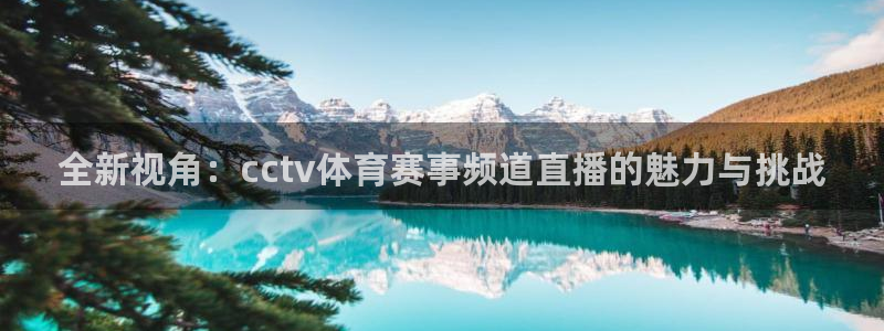 乐球直播nba免费视频：全新视角：cctv体育赛事频道直播的魅力与挑战