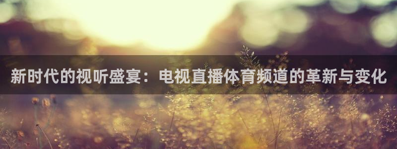 乐球直播官网：新时代的视听盛宴：电视直播体育频道的革新与变化