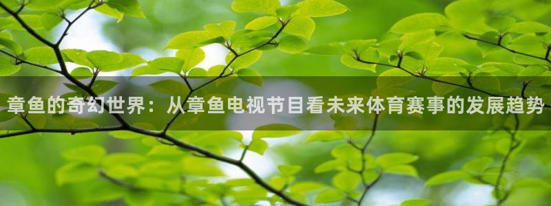 乐球免费足球直播：章鱼的奇幻世界：从章鱼电视节目看未来体育赛事的发展趋势