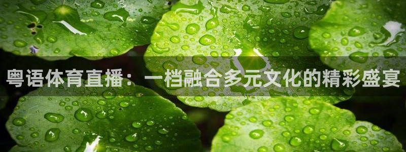 jrs直播吧乐球吧低调：粤语体育直播：一档融合多元文化的精彩盛宴