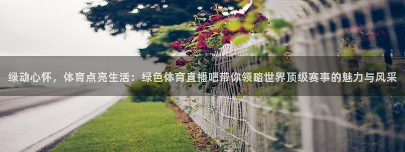 乐球直播app苹果下载：绿动心怀，体育点亮生活：绿色体育直播吧带你领略世界顶级赛事的魅力与风采